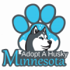 Adopt a Husky MN